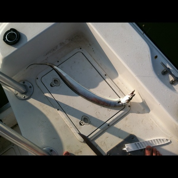 A photo of peyton sams's catch