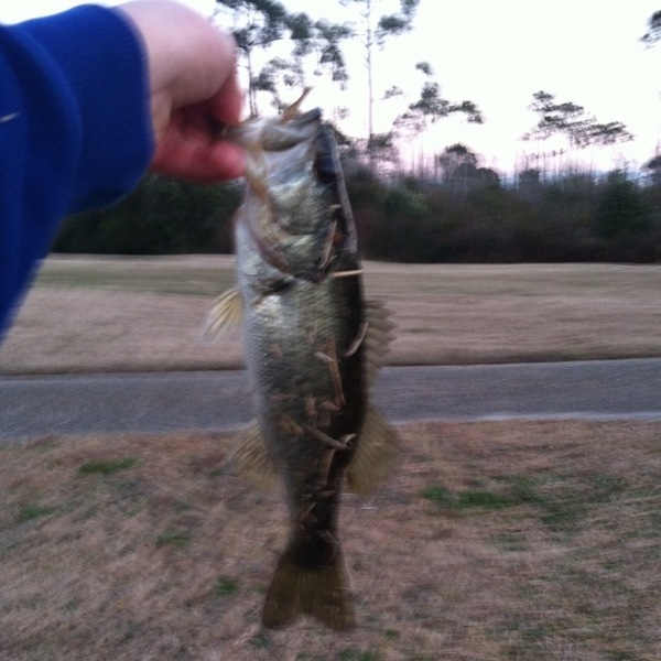 A photo of brice  shepard's catch