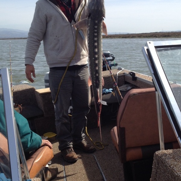 A photo of Matt081608's catch