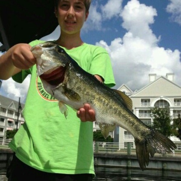 A photo of seangold's catch