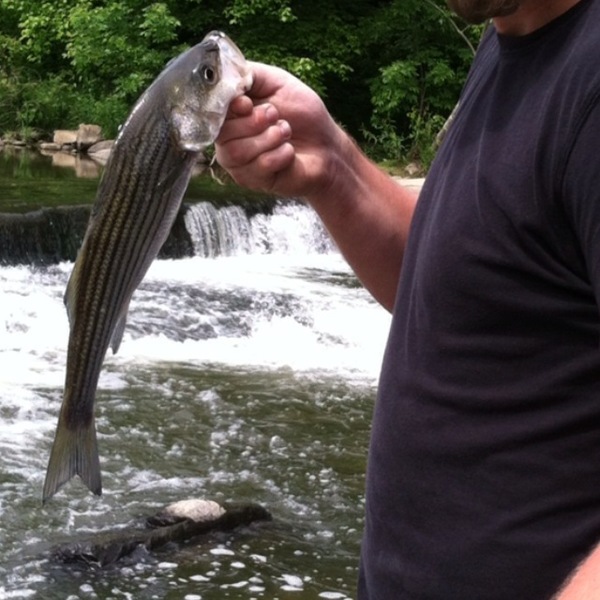 A photo of DonJonDom's catch