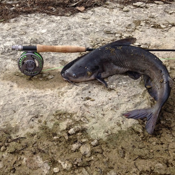 A photo of Blake Settle's catch