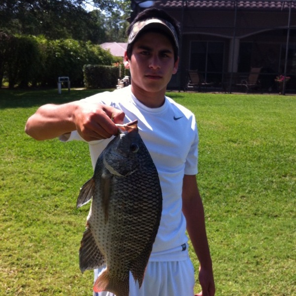 A photo of lamack_since_99's catch