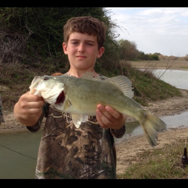A photo of jferruzzo's catch