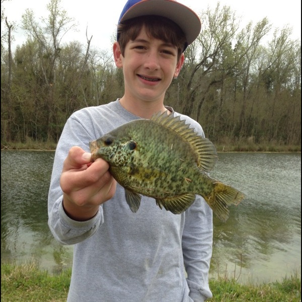 A photo of steven ridout's catch