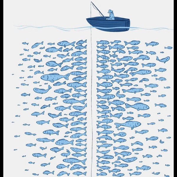 A photo of Jake's catch