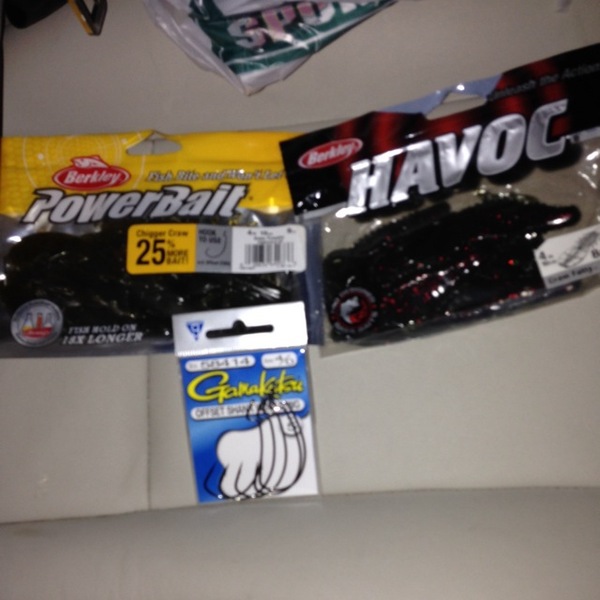A photo of Gavin_and_Bolts's catch
