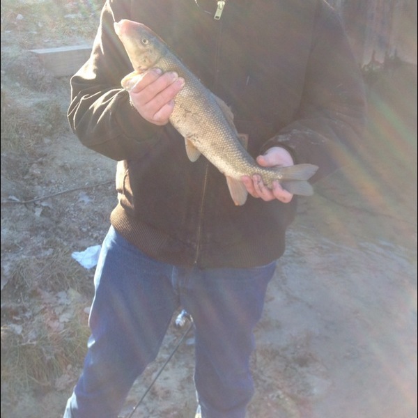A photo of MarshallFargo's catch