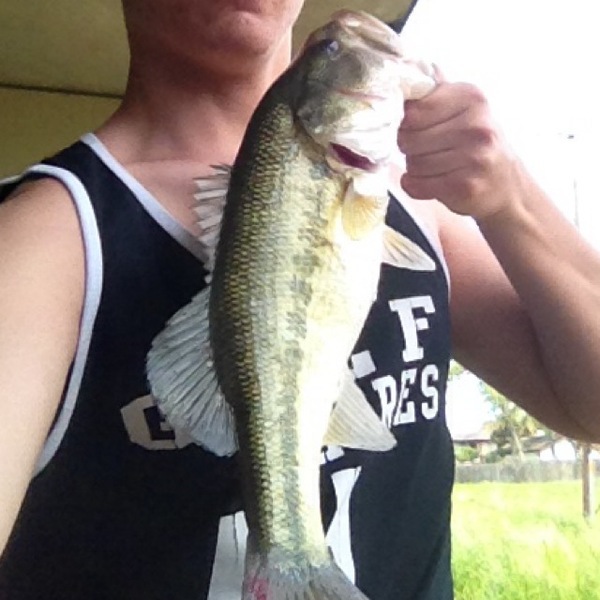 A photo of Jgarrett7's catch