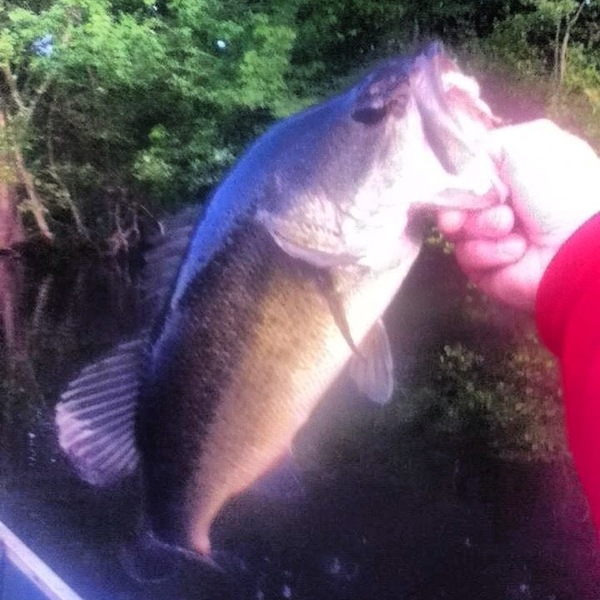 A photo of bigSmitty81401's catch