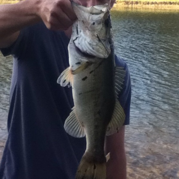 A photo of Bryan jr Lippard's catch