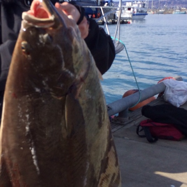 A photo of dotz's catch