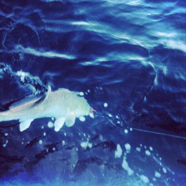A photo of Elijah Troutman's catch