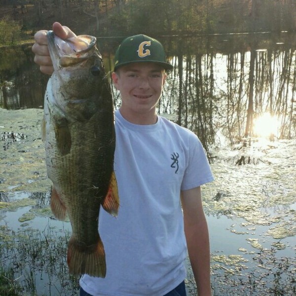 A photo of BassinCarolina4's catch