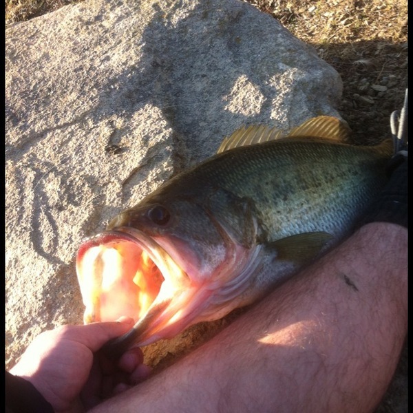 A photo of Conrad Conrad's catch