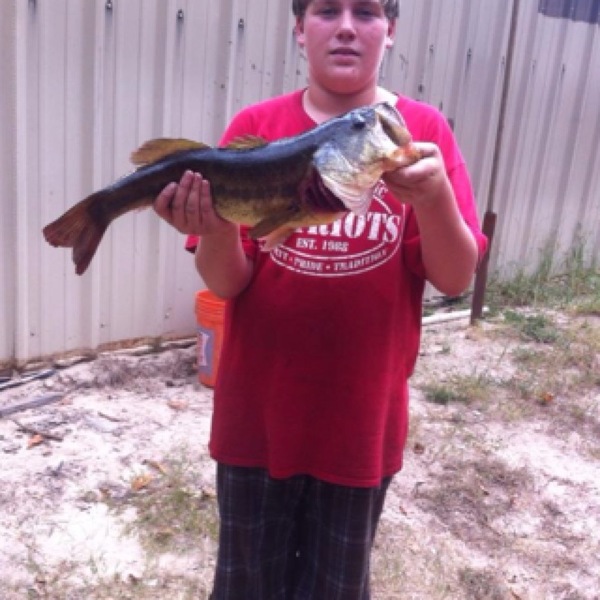 A photo of lipripper1399's catch