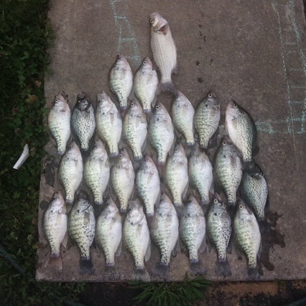 A photo of junyaah's catch