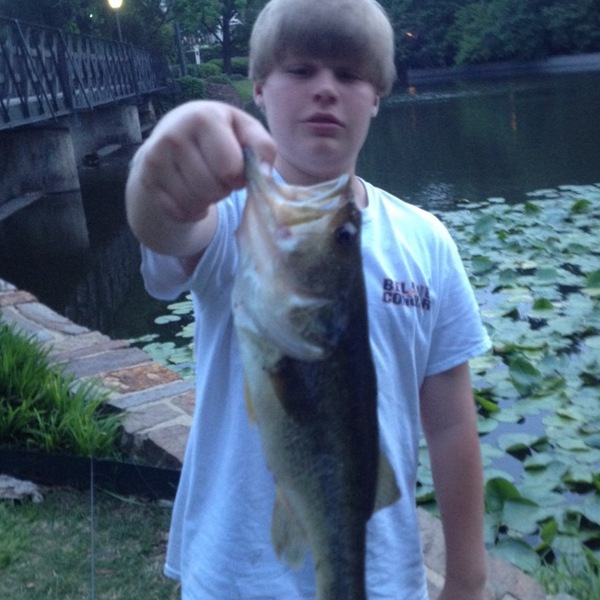 A photo of hudsons_21's catch