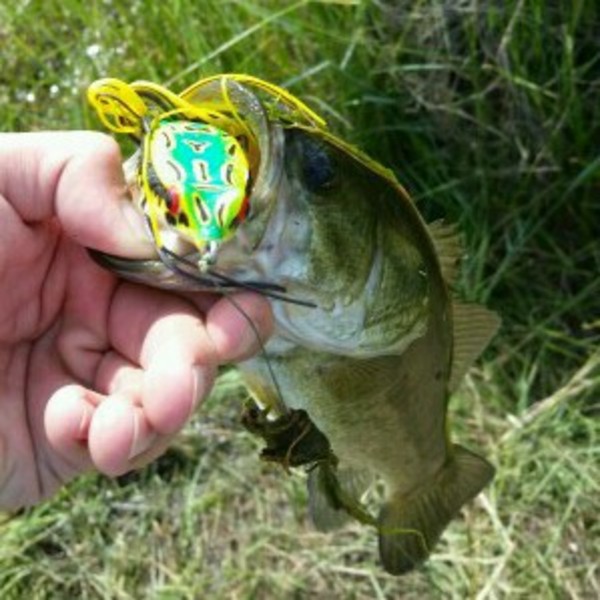 A photo of Brandyn Weis's catch