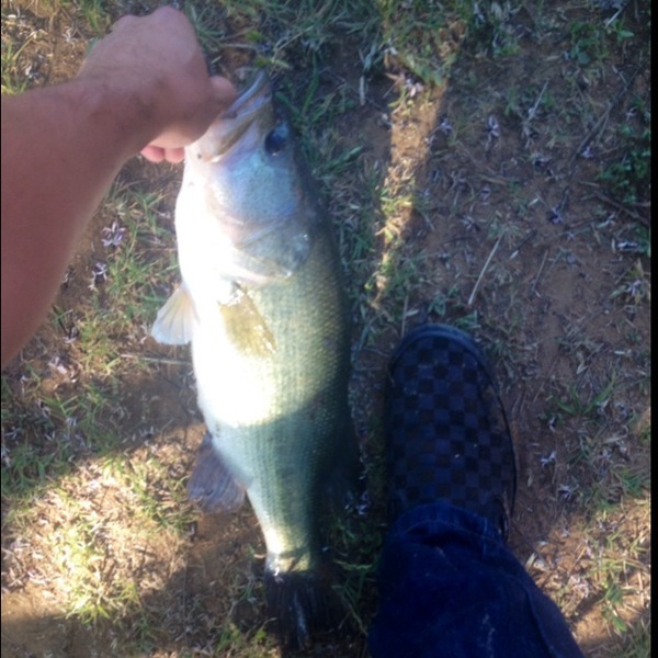 A photo of Tyler Rabel's catch