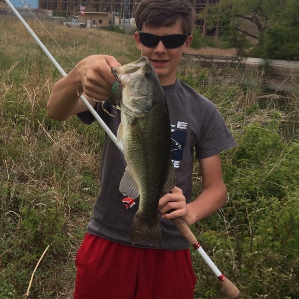 A photo of dragscreamer's catch