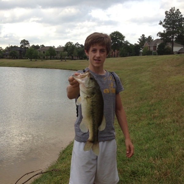 A photo of Young_Buckk's catch