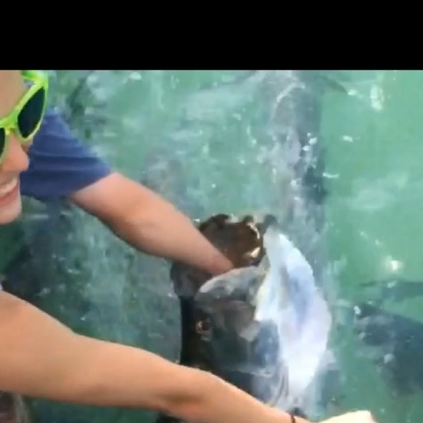 A photo of blake_ramsay's catch