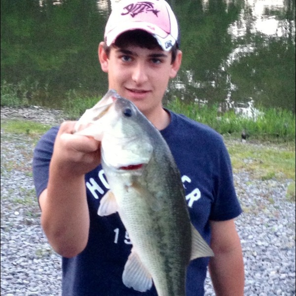 A photo of gloomis99's catch