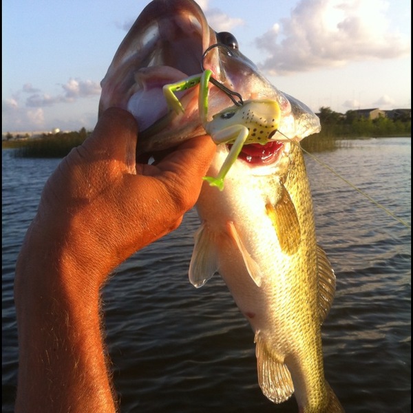 A photo of radiofisher's catch