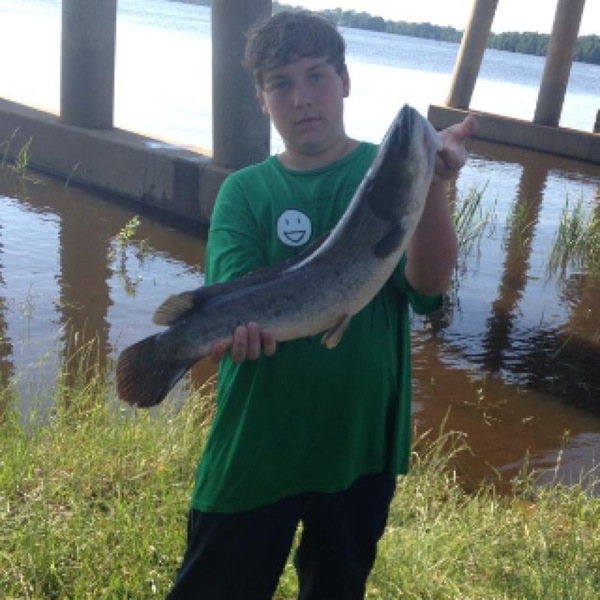 A photo of lipripper1399's catch