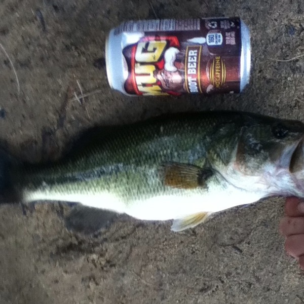 A photo of smittywerbenmanjensanmenheimer's catch