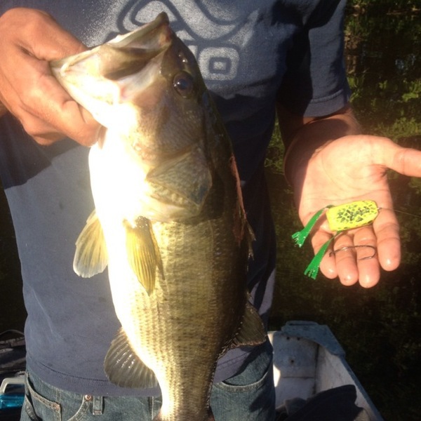 A photo of Guy Bruni's catch