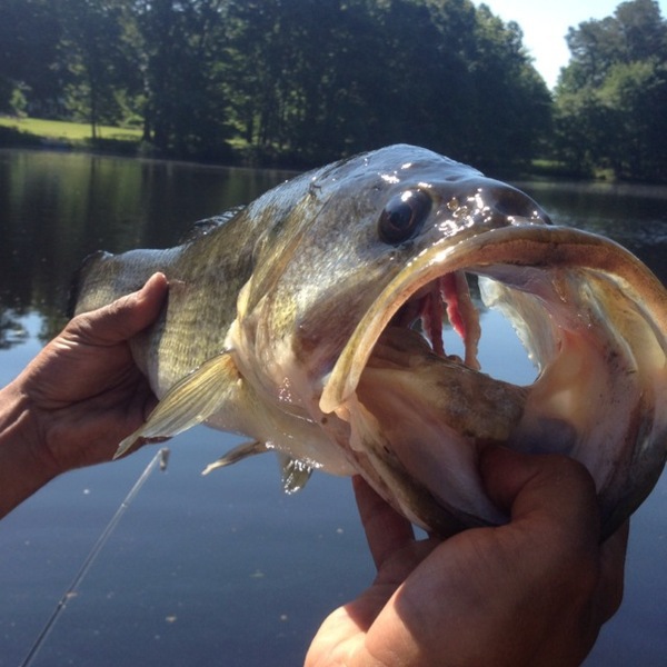 A photo of Guy Bruni's catch