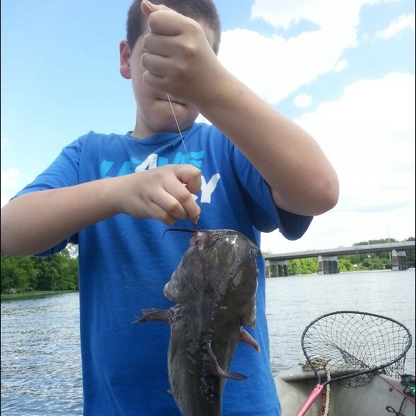 A photo of statefisher's catch