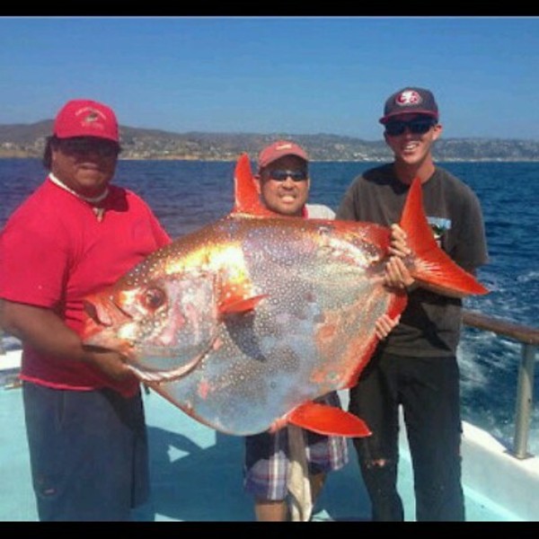 A photo of bestintheworld44's catch