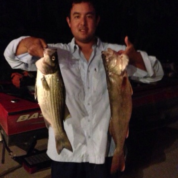 A photo of mikeyMM's catch