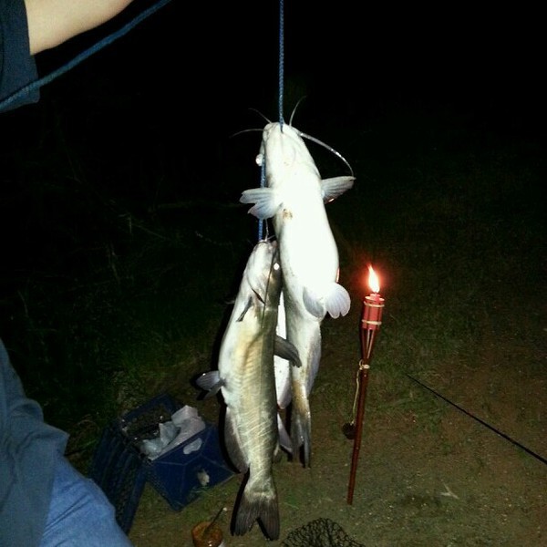 A photo of hunter32's catch
