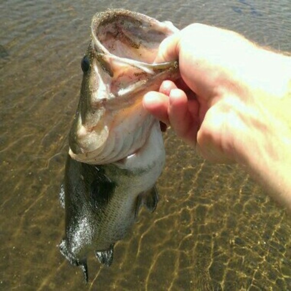 A photo of Dirk 's catch
