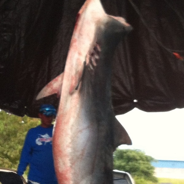 A photo of jay Woodard 's catch