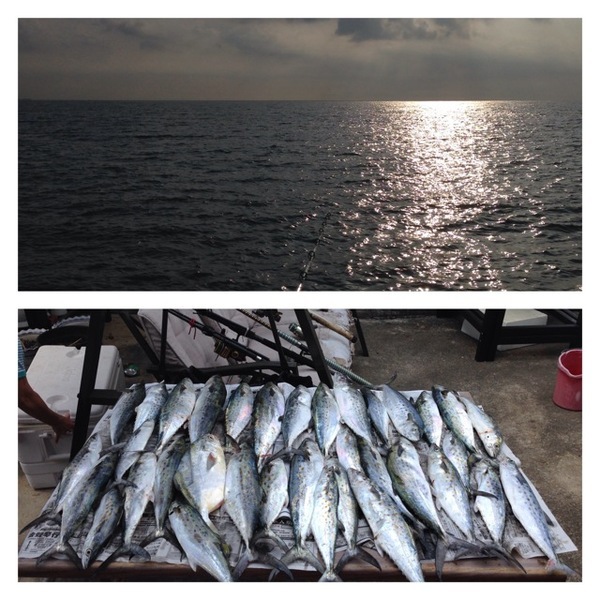 A photo of b0okevin's catch