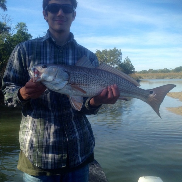 A photo of dspain08's catch