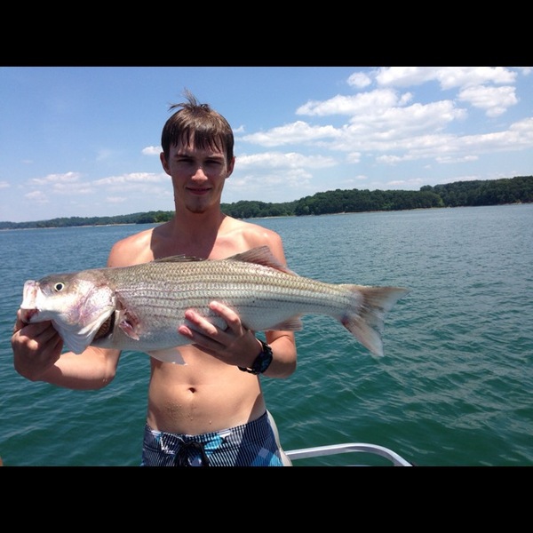 A photo of d_bright's catch