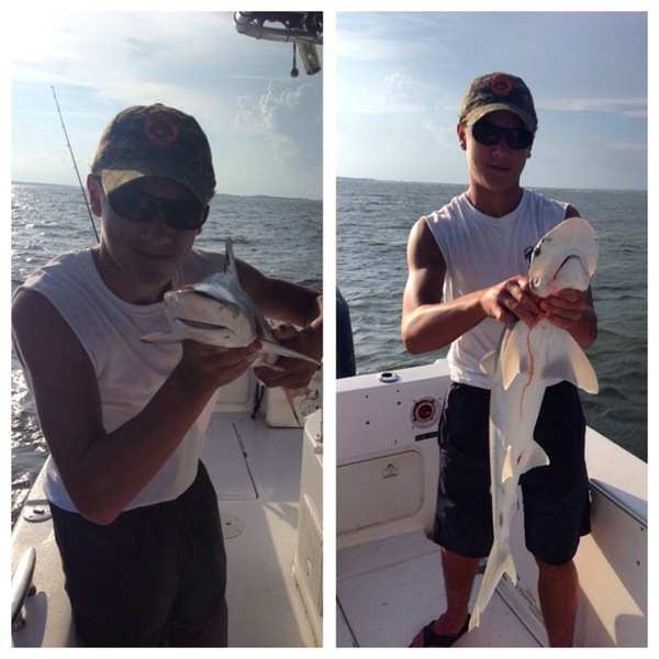 A photo of Becket_Holmgren's catch