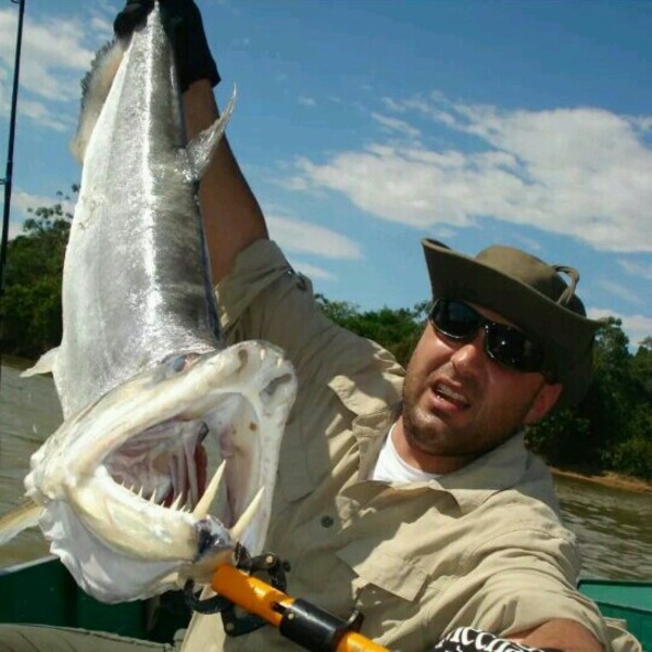 A photo of ruimarques007's catch