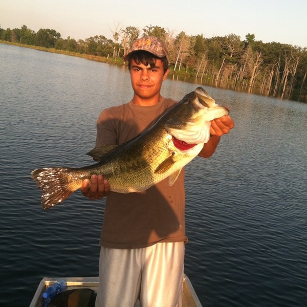 A photo of basschamp's catch