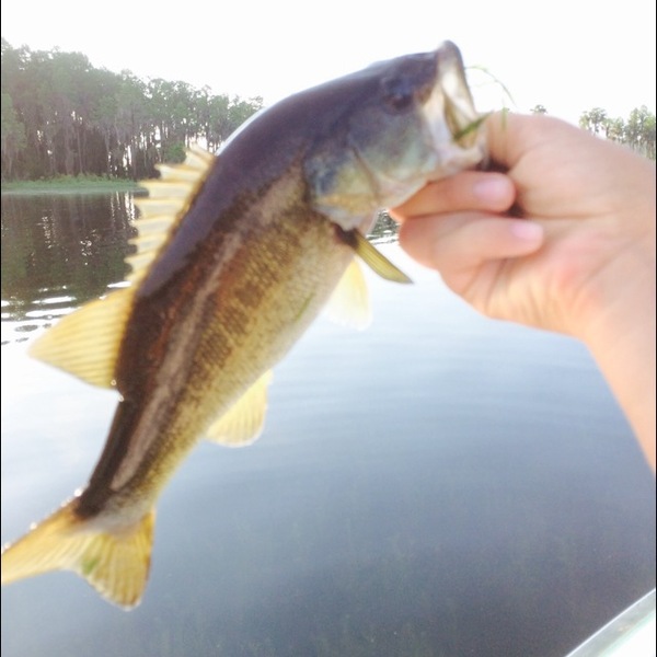 A photo of kyle0514's catch