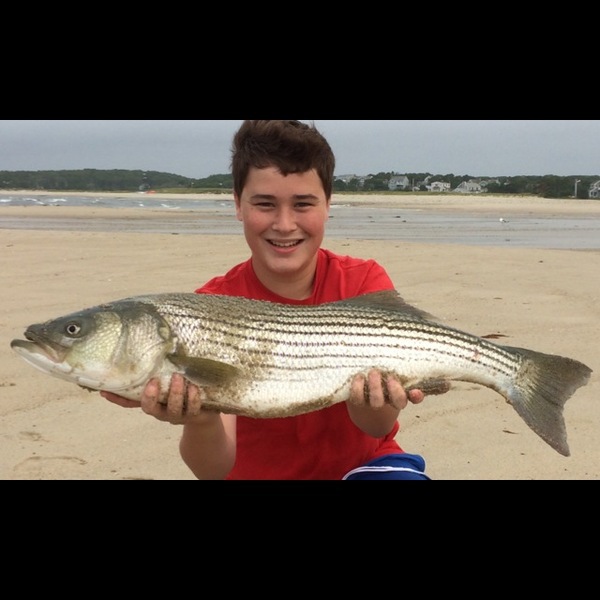 A photo of danfrenchy's catch