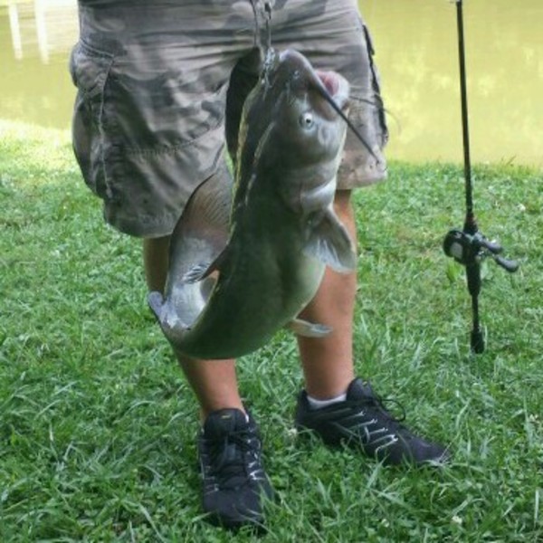 A photo of camois4winners's catch
