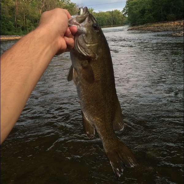 A photo of Charlie George's catch