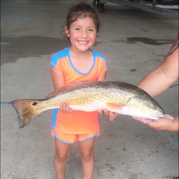 A photo of rzapata0930's catch